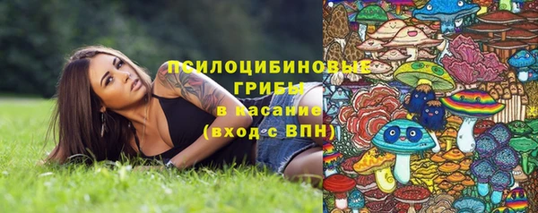 марки lsd Заводоуковск