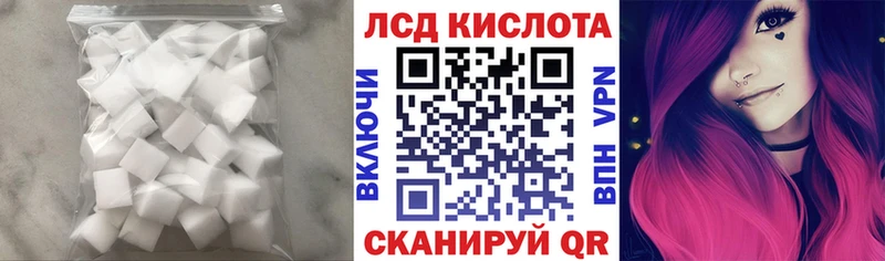 Купить закладки  Дорогобуж  LSD-25 экстази кислота 