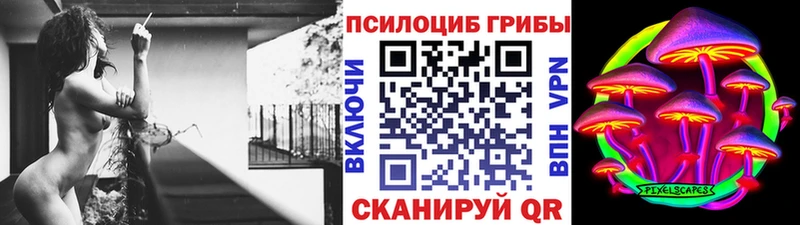 Галлюциногенные грибы Magic Shrooms  Купить  Дорогобуж 